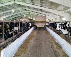 Молочная промышленность: в МО запустят 9 объектов