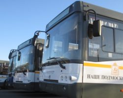В общественном транспорте Подмосковья значительно сократилось количество пассажиров льготных категорий