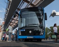В столице успешно развивается транспортный сервис