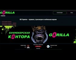 Букмекерская контора Горилла - скачать бк горилла без проблем