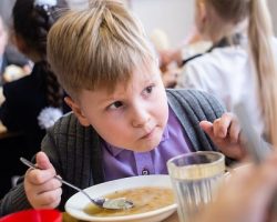 Бесплатное питание школьников: власти МО выделят 2.5 миллиарда