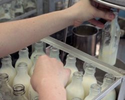 Молочные кухни столицы выдали более 9.2 миллионов наборов
