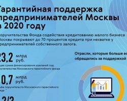 Бизнес активно использовал поддержку «Московского гарантийного фонда»