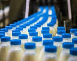 Производство молока поддержат финансово в Подмосковье