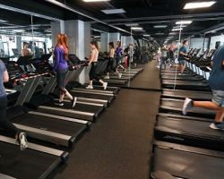 Фитнес-центры: среднесуточные обороты профильного бизнеса столицы превысили докризисный уровень