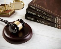 Особенности работы иммиграционного адвоката в Украине