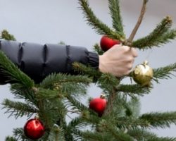 Как правильно утилизировать елку после новогодних праздников