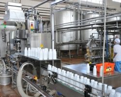 Оборудование для молочного производства: основные виды