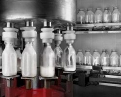 Как выбрать оборудование для переработки молока: советы экспертов
