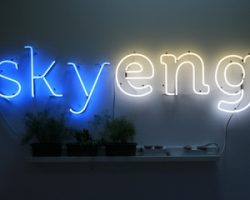Плюсы и минусы обучения на онлайн-платформе Skyeng